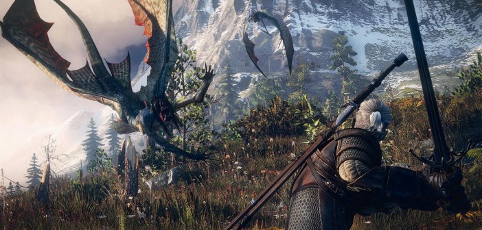 The Witcher III Wild Hunt