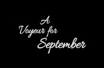 Η Team Meat ανακοινώνει το A Voyeur For September