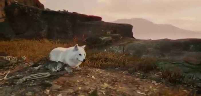 WiLD on PS4 EXCLUSIVE | #PlayStationGC