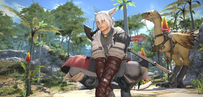 Final Fantasy XIV A Realm Reborn