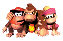 Donkey Kong Country