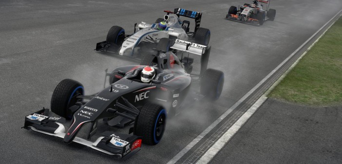 F1 2014 F1_2014-07-11_09-58-41-45_screen_15_1406716979