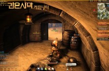 ‘Black Desert’ Final CBT – Warrior, Field Action