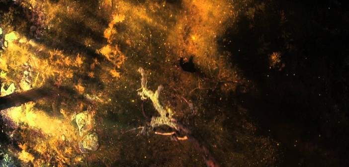 PlayStation Experience – EMAGON Teaser